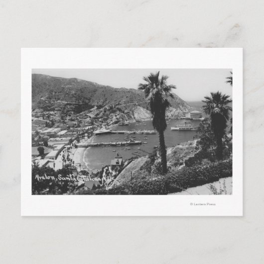 Avalon, CA Santa Catalina, Uitzicht van Harbour Briefkaart (Voorkant)