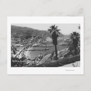 Avalon, CA Santa Catalina, Uitzicht van Harbour Briefkaart