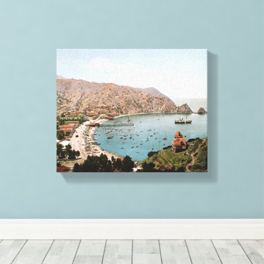 Avalon, Catalina Island 1901 Canvas Afdruk (Insitu (Houten vloer))