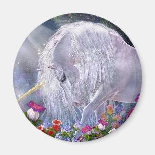 Avalon Magnet Magneet