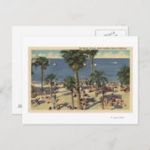 Avalon Uitzicht Beach w/Sunbathers Briefkaart (Voorkant / Achterkant)