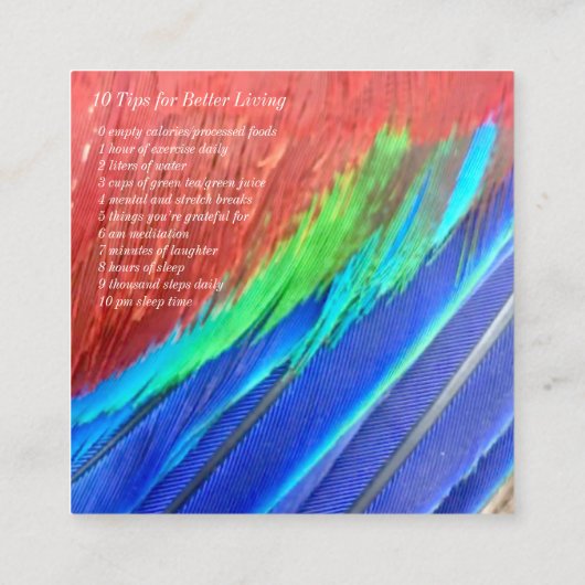 Avant et dos carrés de carte de visite (Dos)