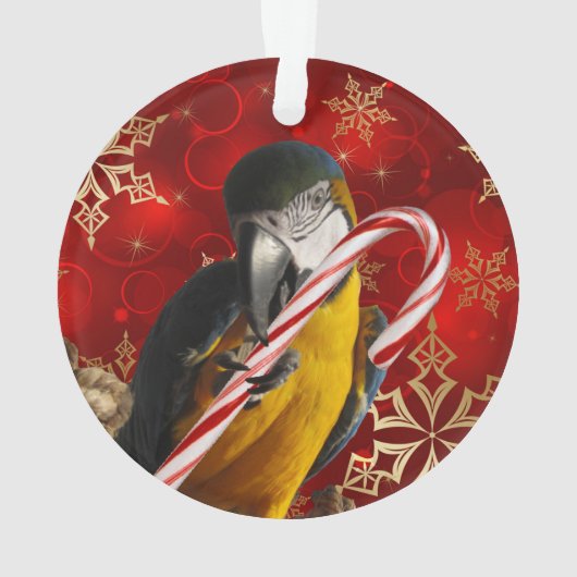 Avant et dos faits sur commande d'ornement de (dos)