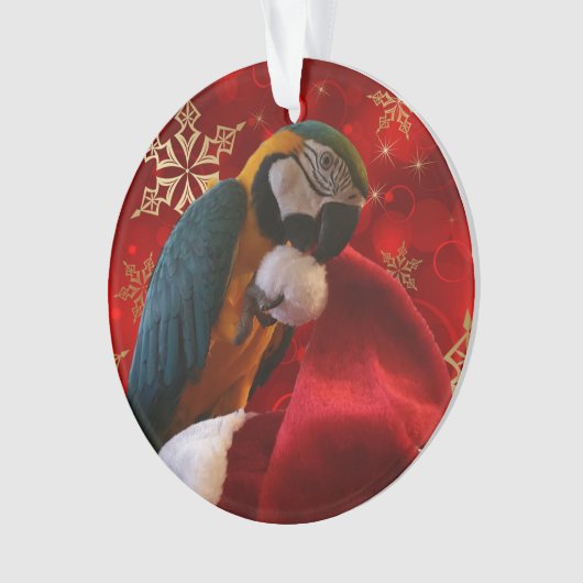 Avant et dos faits sur commande d'ornement de (devant)