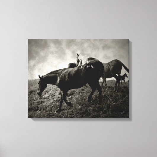 Avant la toile enroulée par la tempête (Recto)