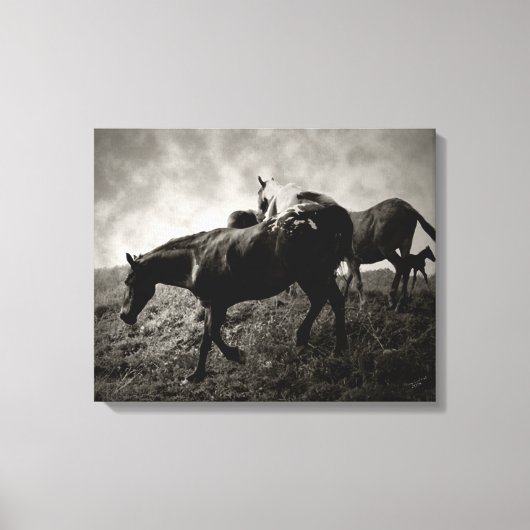 Avant la toile enroulée par la tempête (Recto)