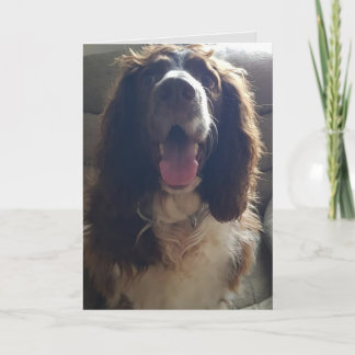 Avec carte de voeux d'amour