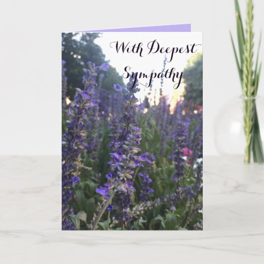 Avec carte Sympathy (Devant)