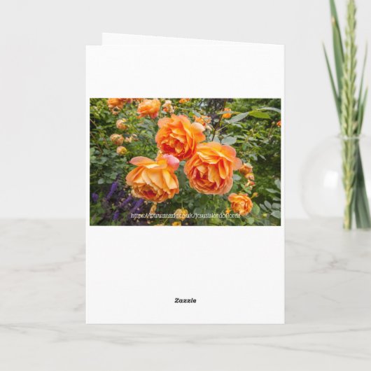 Avec compassion, carte chrétienne avec des écritur (Dos)