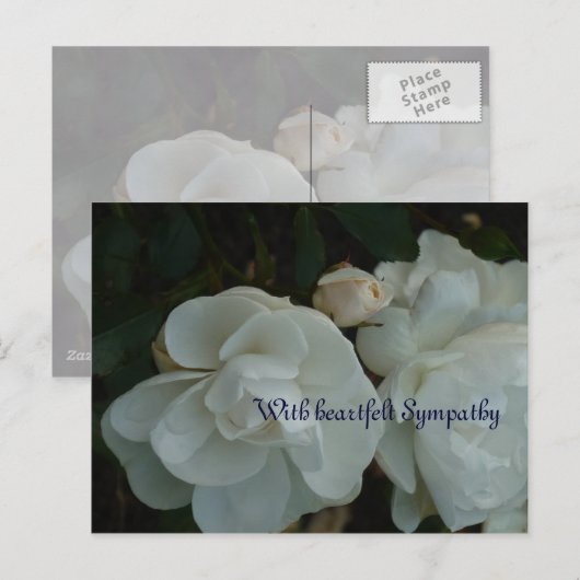 Avec de sincères condoléances - Carte de condoléan (Devant / Derrière)