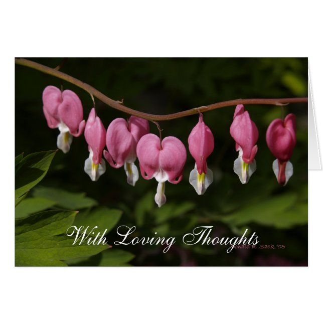 Avec des pensées affectueuses (Devant Horizontal)