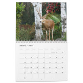 Aventures dans le calendrier photographique (Jan 2027)