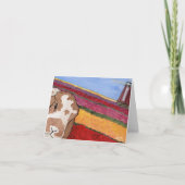 Aventures de noix de coco : Carte de voeux de mai  (Devant)