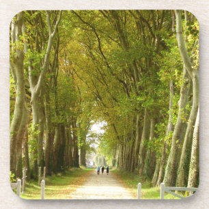 Avenue des arbres Dessous de verre en plastique du