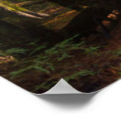 Avenue of Giant Redwood California Poster (Hoek)