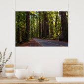 Avenue of Giant Redwood California Poster (Keuken)