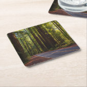 Avenue of Giant Redwood California Vierkante Kartonnen Onderzetter (Schuin)