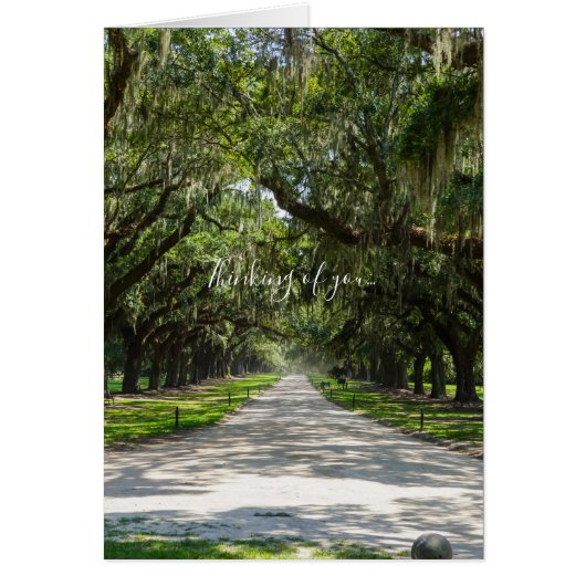 Avenue of Oaks denkt aan je Kaart (Voorkant)