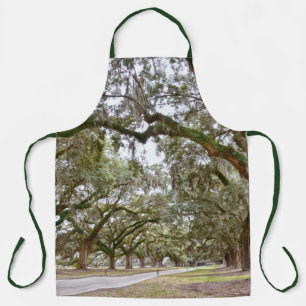 Avenue of Oaks, South Carolina Schort