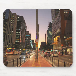 Avenue Paulista - São Paulo Muismat