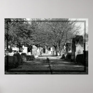 Avenue Poster
