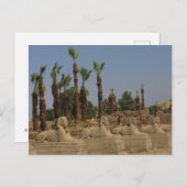 Avenue Sphinxes - Ancient Egypt Briefkaart (Voorkant / Achterkant)