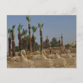 Avenue Sphinxes - Ancient Egypt Briefkaart