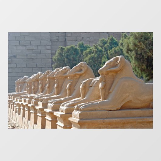 Avenue Sphinxes in Karnak Temple - Egypte Raamsticker (Vel)