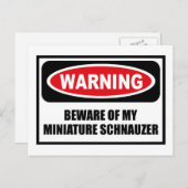 Avertissement ATTENTION À MON SCHNAUZER NAIN Carte (Devant / Derrière)
