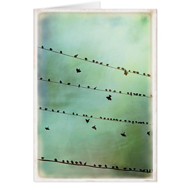 Avez-vous entendu ? - Blanc (Devant)