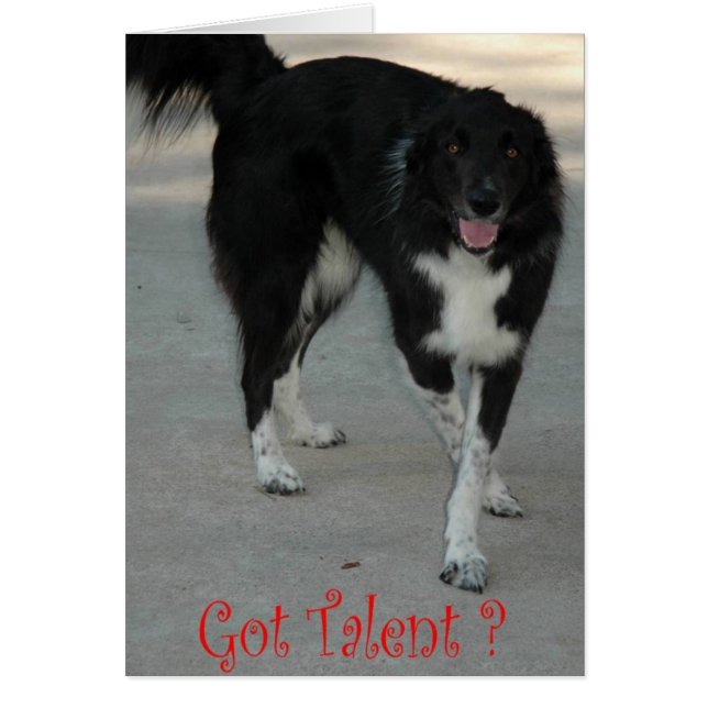 Avez-vous le moindre TALENT (Devant)