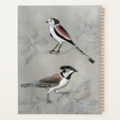 Aviaire argenté | Une paire (Dos)