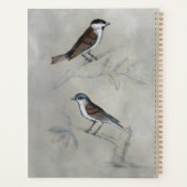 Aviaire argenté | Une paire d'oiseaux (Dos)