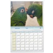Avian Avenue 2026 Parrot Calendar Kalender (Feb 2026)