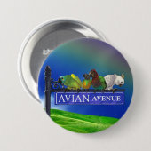 Avian Avenue Parrot Forum Button (Voorkant /achterkant)