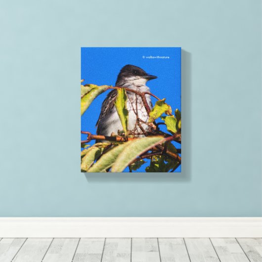 Avian Royalty: Eastern Kingbird Canvas Afdruk (Insitu (Houten vloer))