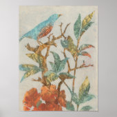 Aviary Collage I Poster (Voorkant)