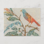 Aviary Collage II Briefkaart (Voorkant)