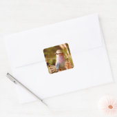 Aviary Vierkante Sticker (Envelop)