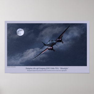 Aviation Art Poster " Nakajima J1N Irving"