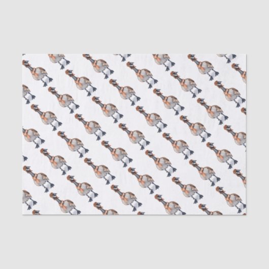 Aviator Goose Tissuepapier (Voorkant)