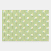 Aviator Wolf, Gestreept, Ballonnen Inpakpapier Vel (Voorkant 3)