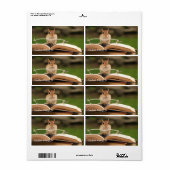Avid lezer chipmunk bookplate etiket (Full Sheet)