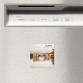 Avignon - magneet (Insitu (Vaatwasser))