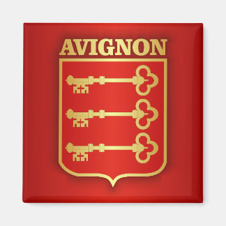 Avignon Magneet