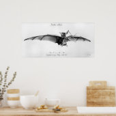 Avion III, "The Bat" Poster (Keuken)