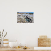 Avoca Spring, Biscuit Basin, Yellowstone Poster (Keuken)
