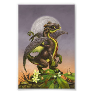 Avocado Dragon 4x6 afdrukken Foto Afdruk