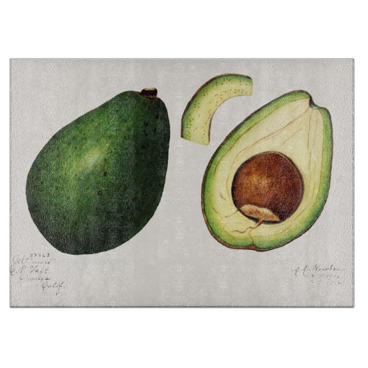 Avocado Illustratie Snijplank (Voorkant)