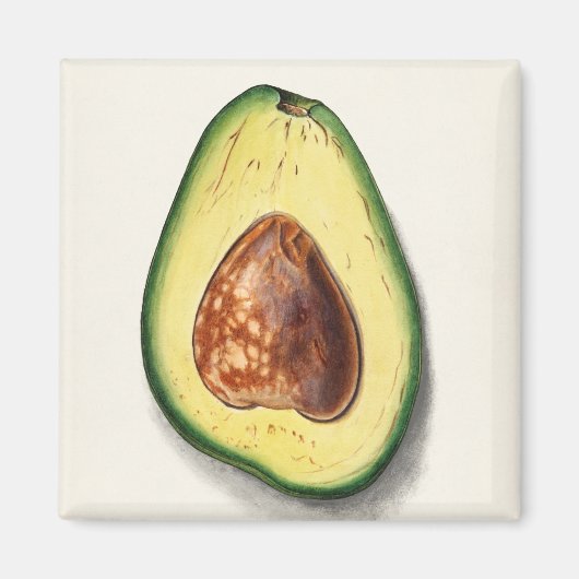 Avocado Magneet (Voorkant)